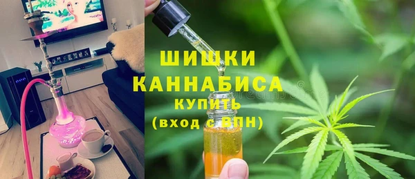 ГАЛЛЮЦИНОГЕННЫЕ ГРИБЫ Переславль-Залесский