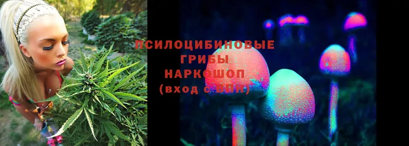 Галлюциногенные грибы Psilocybe  blacksprut сайт  Мурино  даркнет сайт 