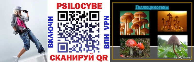 Псилоцибиновые грибы Psilocybe закладка Мурино