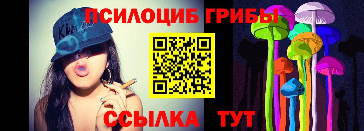 Галлюциногенные грибы GOLDEN TEACHER  что такое наркотик  Мурино  Вход с VPN 